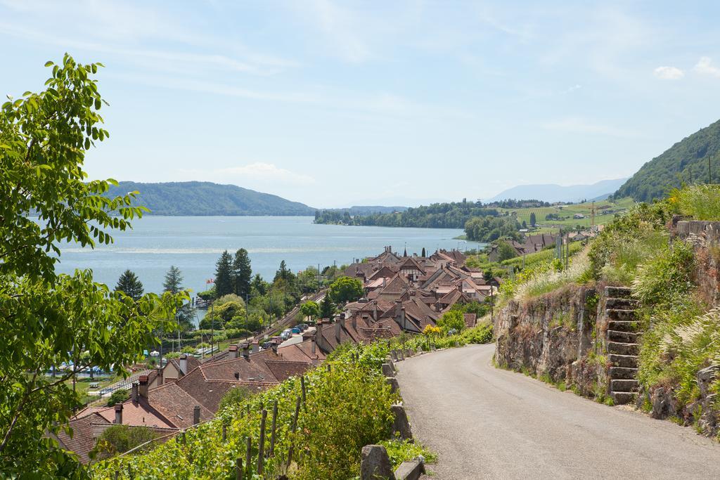 Alpes Et Lac Ла-Нёввиль Экстерьер фото