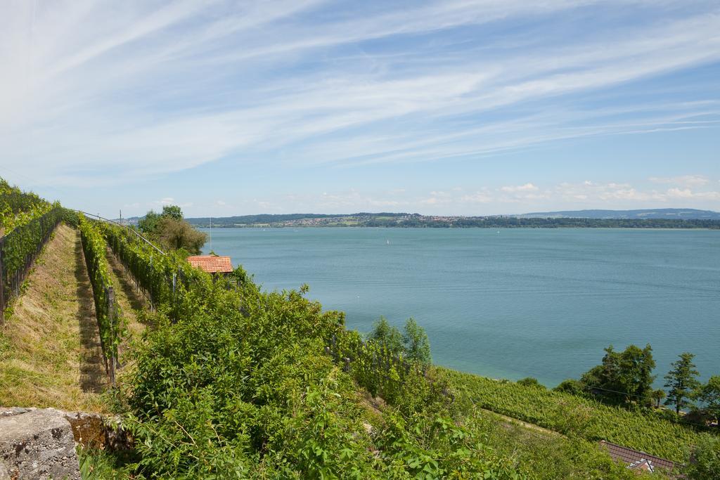 Alpes Et Lac Ла-Нёввиль Экстерьер фото